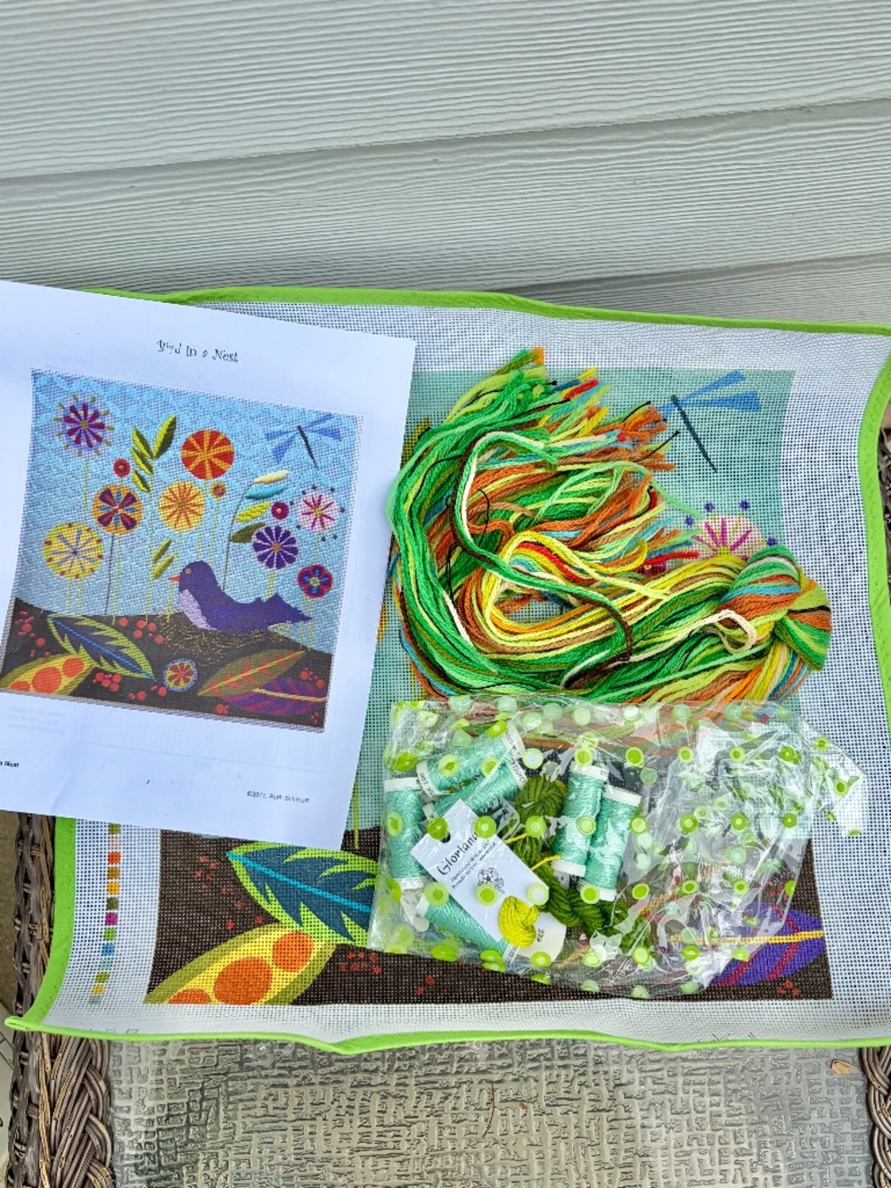 NEW Ruth Schmuff Designs Bird in a Nest Needlepoint Canvas w/ directions, yarn
